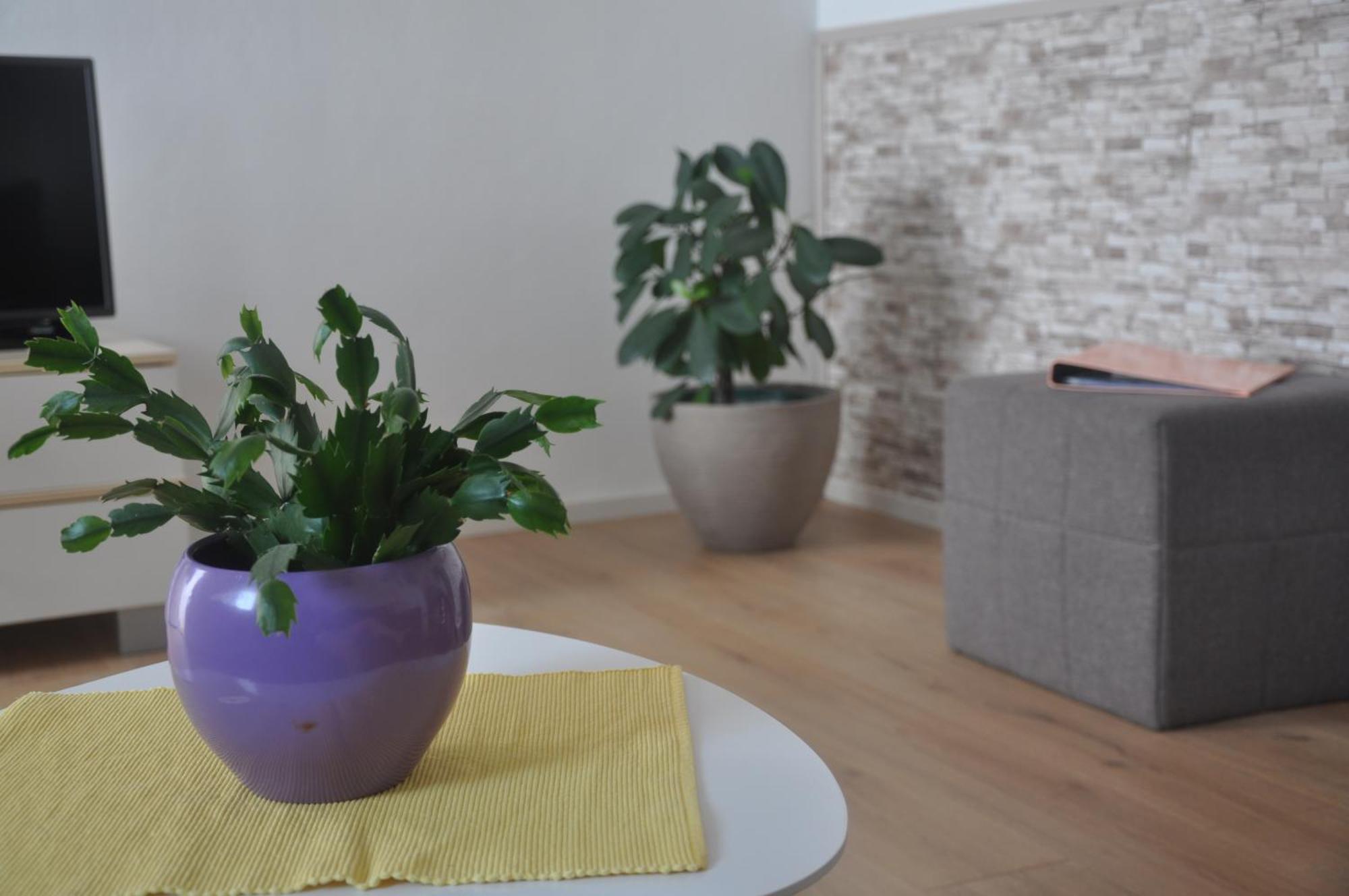 Apartman Mirna Rovinj Buitenkant foto